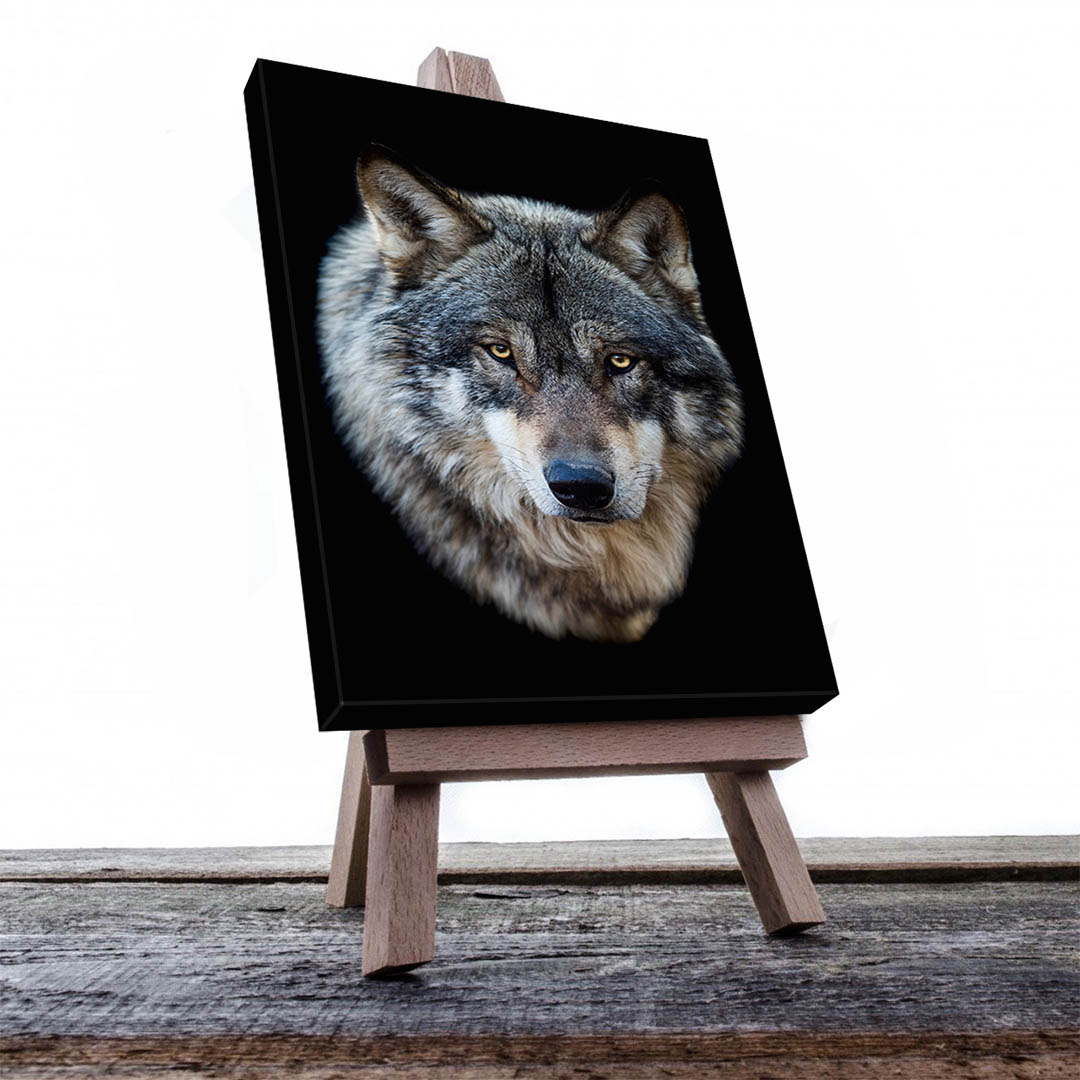 Cuadro Decorativo Lobo Gris #01 45 X 30