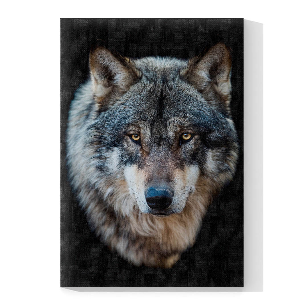 Cuadro Decorativo Lobo Gris #01 45 X 30