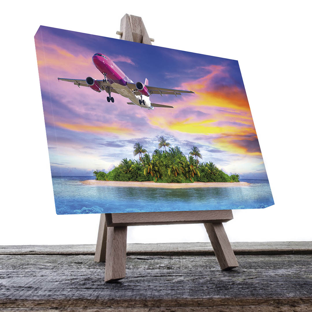 Cuadro Decorativo Avión volando e Isla 90 X 45