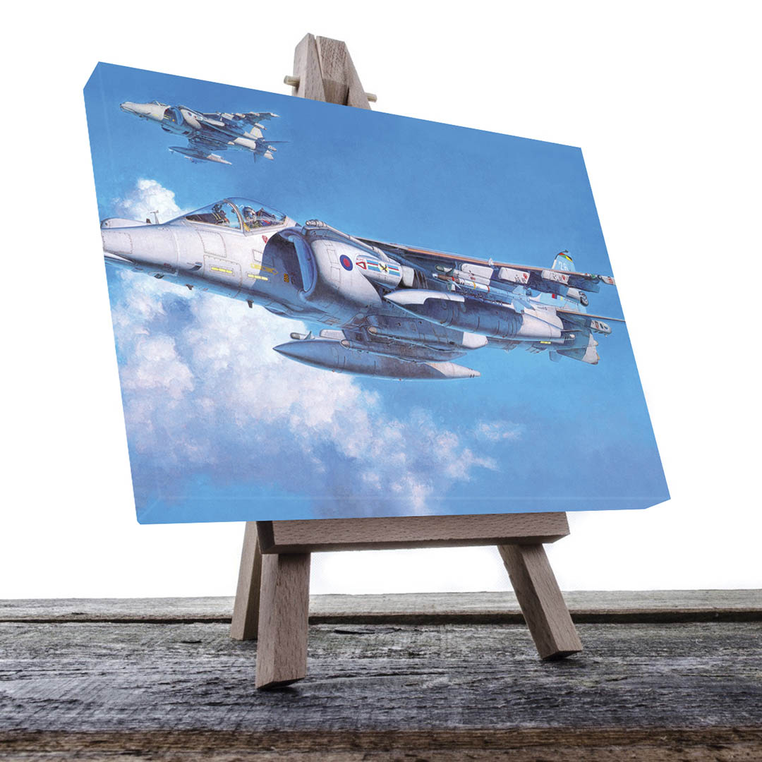 Cuadro Decorativo Avión Jet de Guerra #20 90 X 60