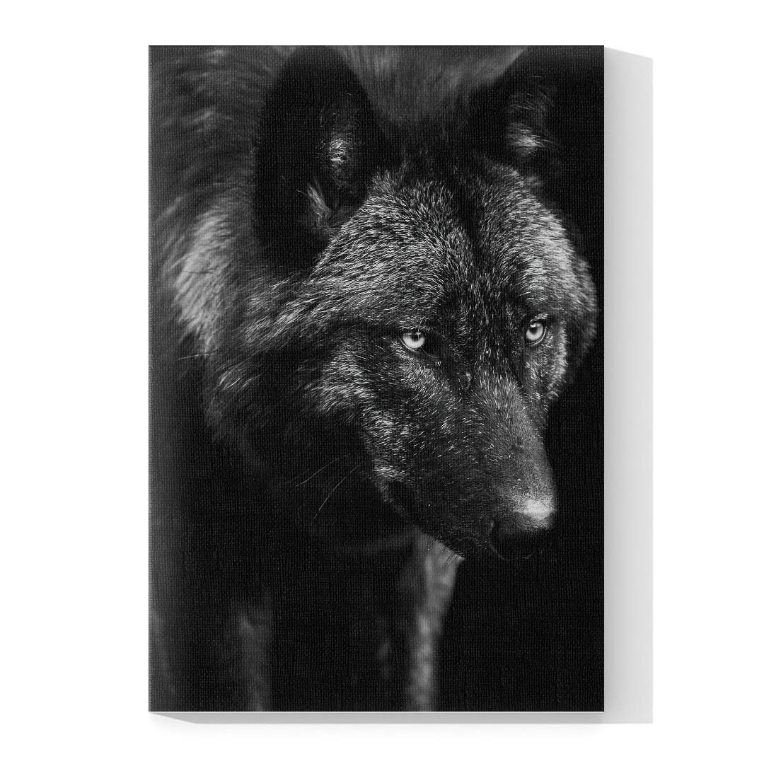 Cuadro Decorativo Lobo Negro #05 60 X 40