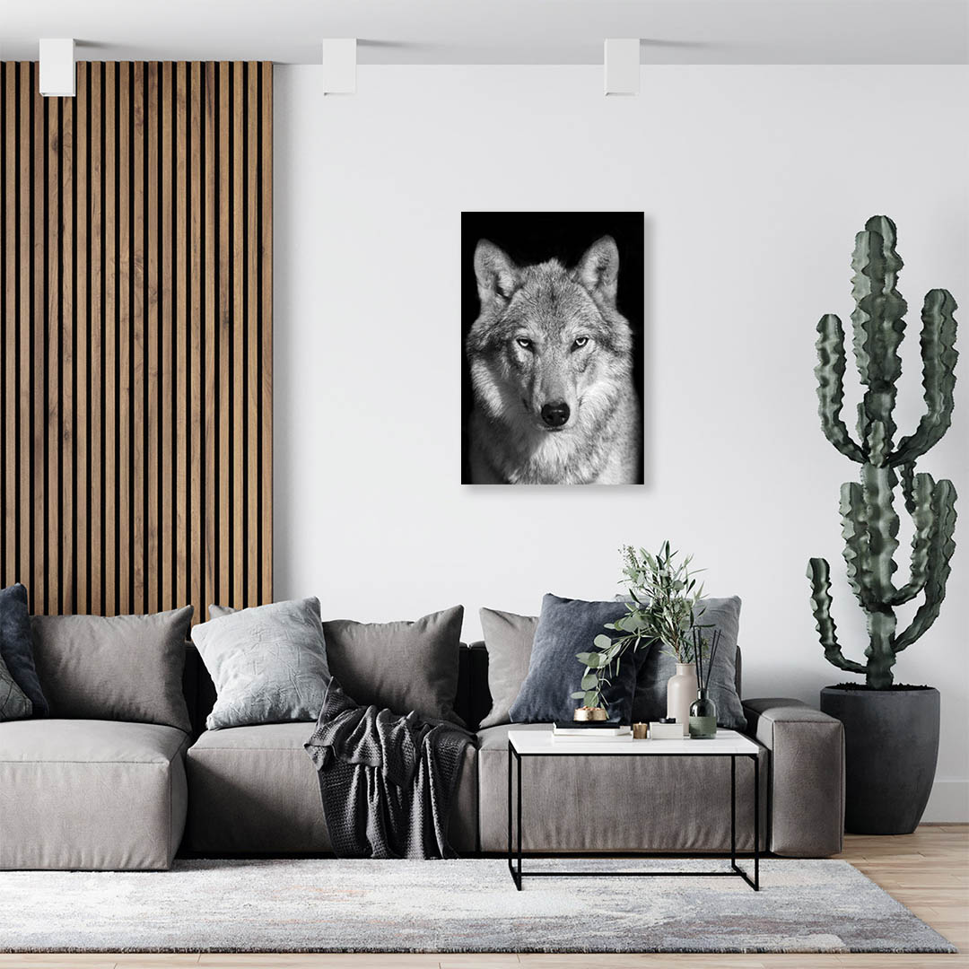 Cuadro Decorativo Lobo Gris #06 60 X 40