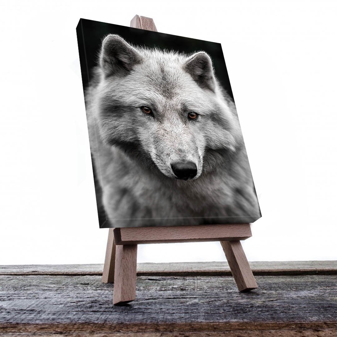 Cuadro Decorativo Lobo Gris #03 90 X 45
