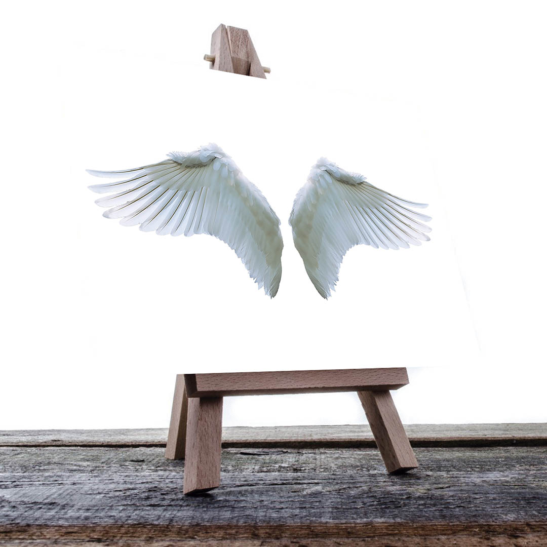 Cuadro Decorativo Holístico Alas blancas Fondo Blanco 90 X 45