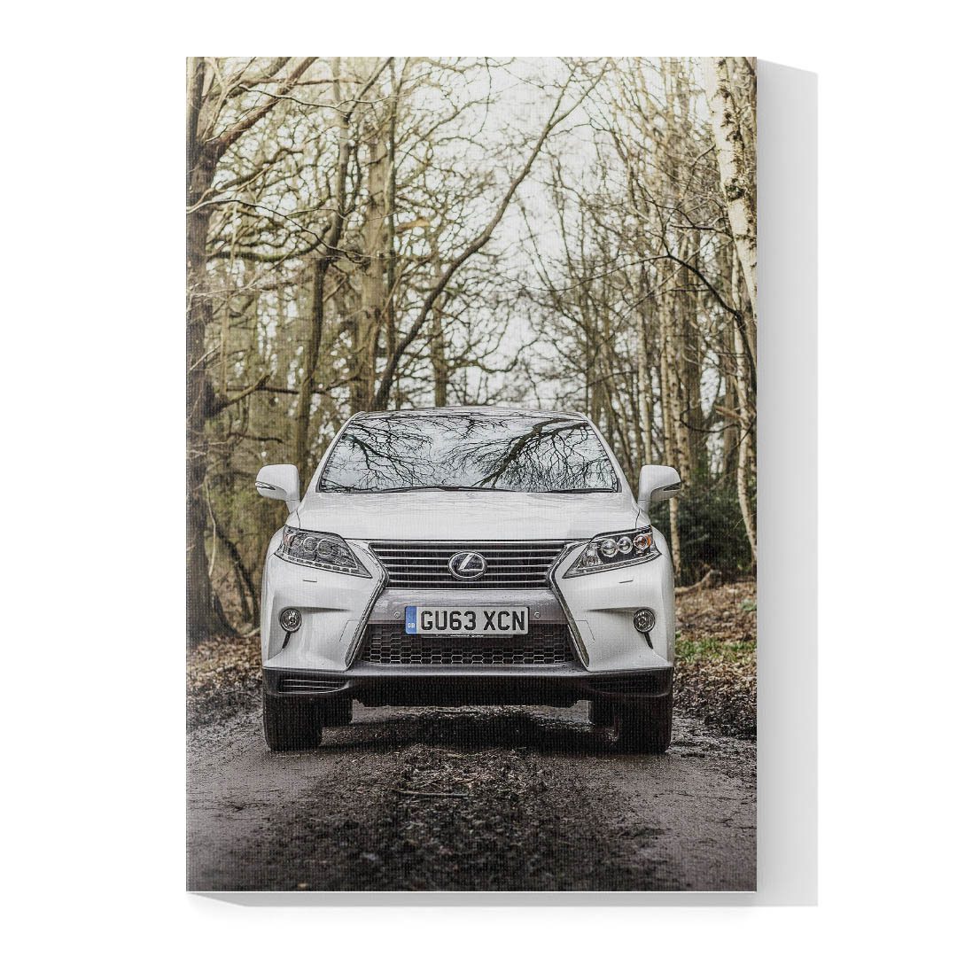 Cuadro Decorativo de Automóvil Deportivo Lexus Blanco #7 120 X 60
