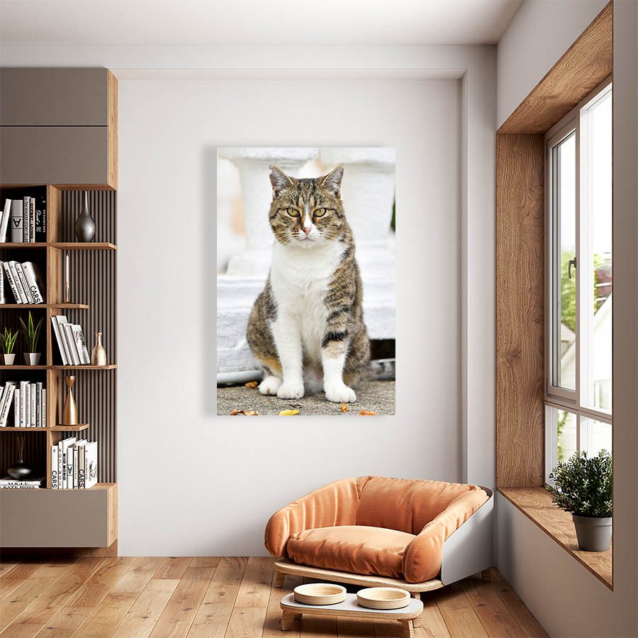Cuadro Decorativo de Gato Atigrado con Blanco #520  45 X 30