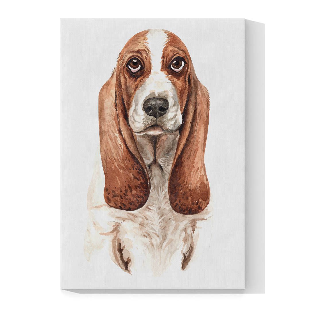 Cuadro Decorativo Dibujo de Perro Basset Hound #562  45 X 30