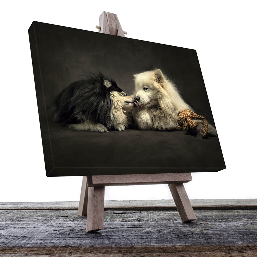 Cuadro Decorativo de Perros Samoyedos Blanco y Negro #02  45 X 30