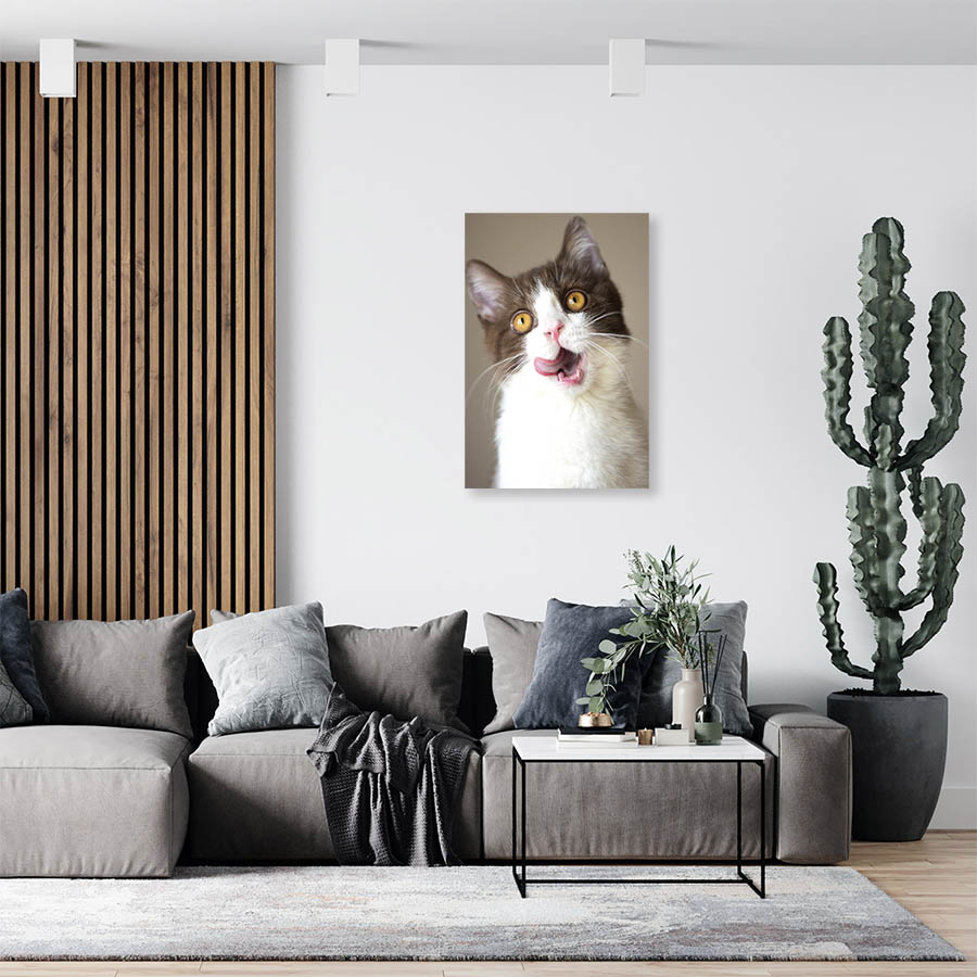 Cuadro Decorativo de Gato Blanco con Gris #553  45 X 30