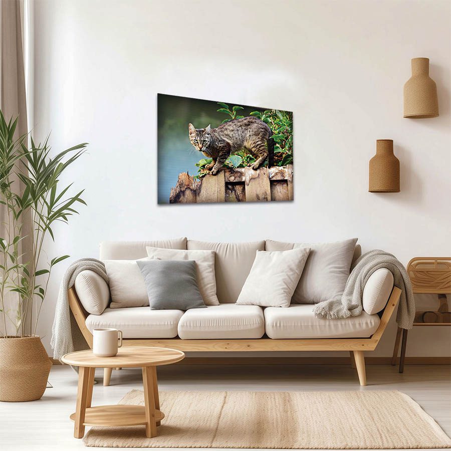 Cuadro Decorativo de Gato Gris con Café #44  45 X 30