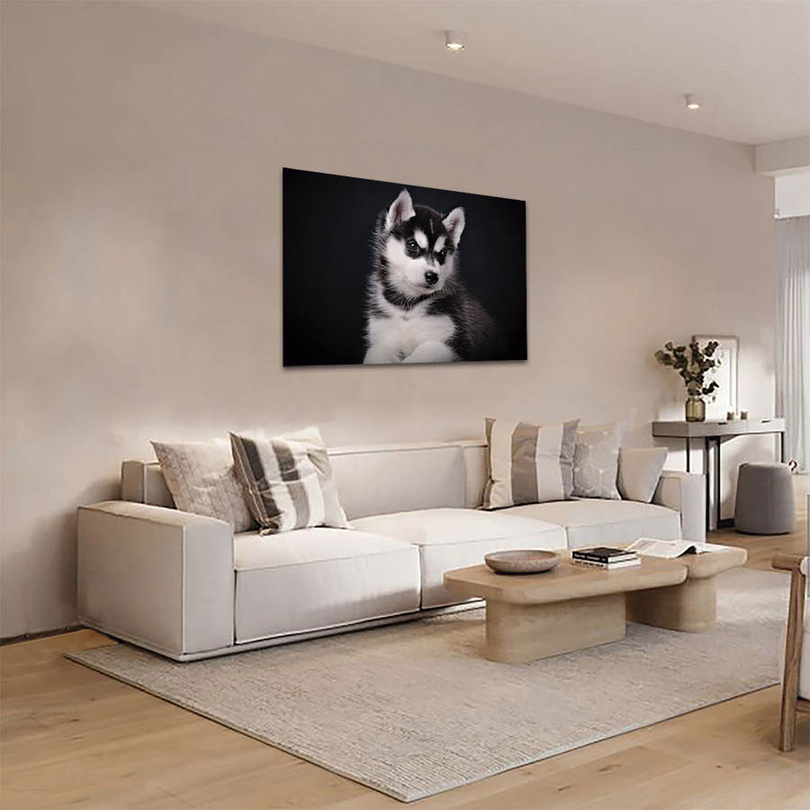 Cuadro Decorativo de Perro Husky Gris#05  45 X 30