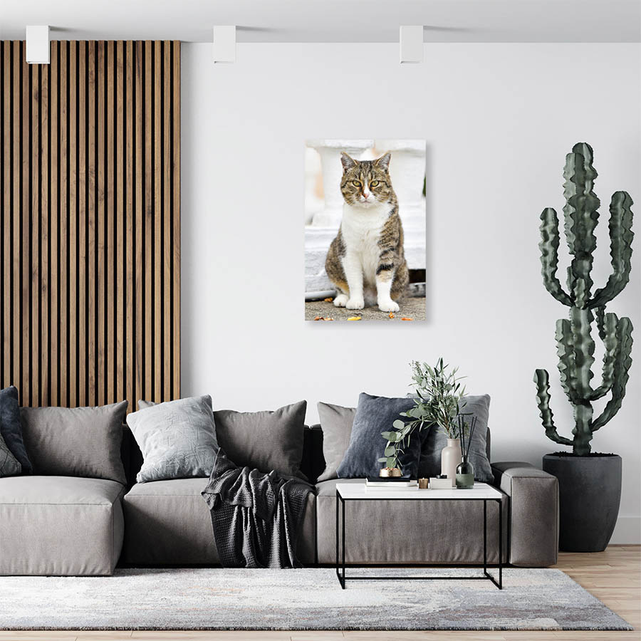 Cuadro Decorativo de Gato Atigrado con Blanco #520  45 X 30