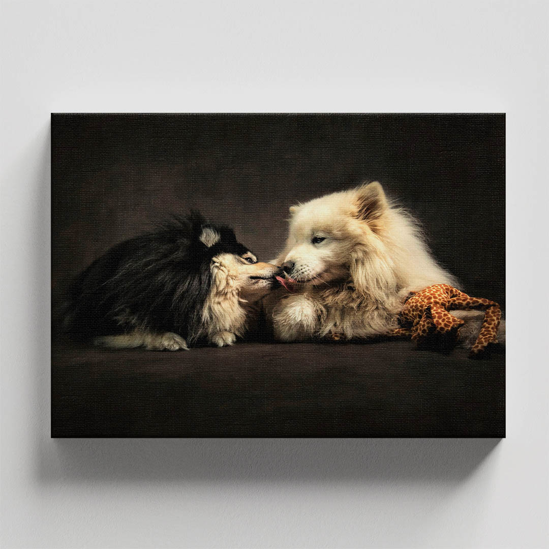 Cuadro Decorativo de Perros Samoyedos Blanco y Negro #02  45 X 30
