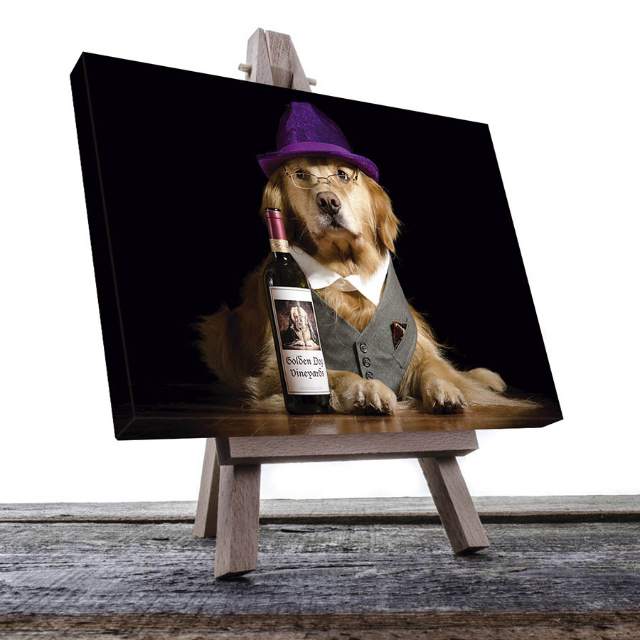Cuadro Decorativo de Perro Golden Con sombrero y Lentes #07  45 X 30