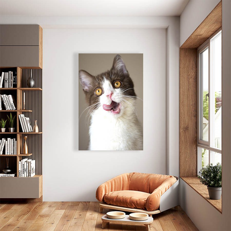 Cuadro Decorativo de Gato Blanco con Gris #553  45 X 30