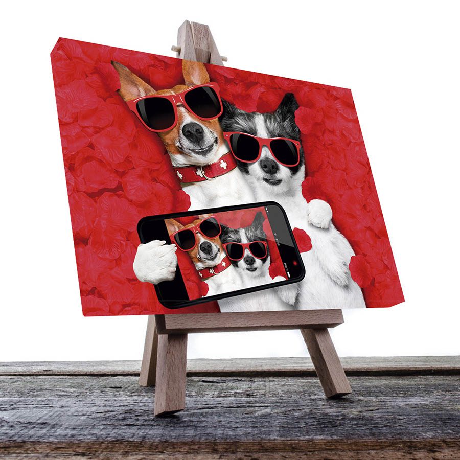 Cuadro Decorativo de Perro tomándose una Selfi #50  45 X 30