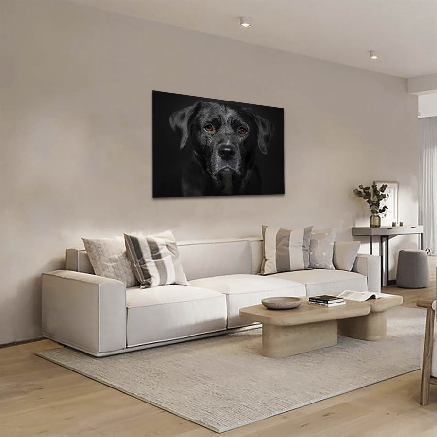 Cuadro Decorativo de Perro Labrador Negro #09  60 X 40