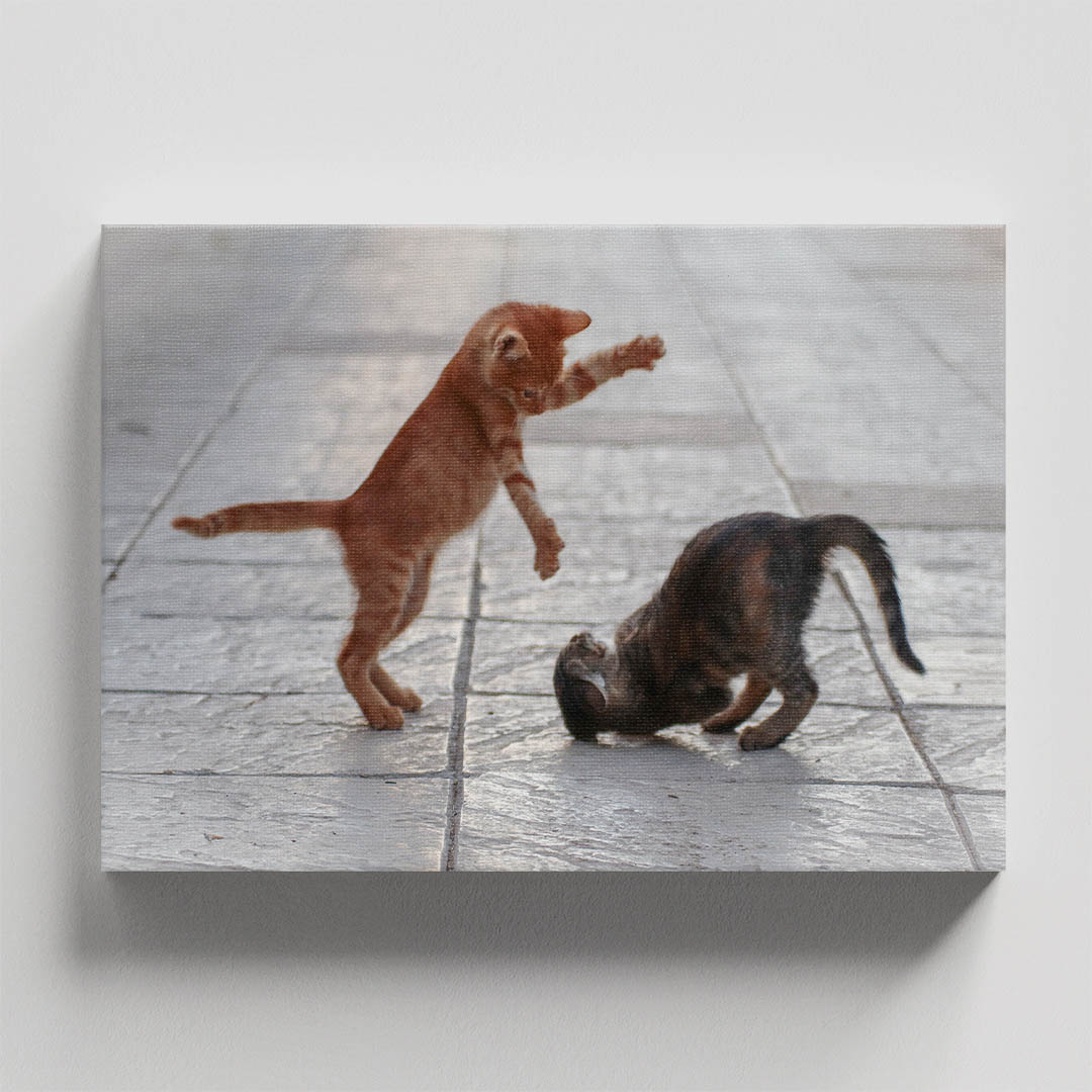 Cuadro Decorativo de Gatitos Café y Gris #45  120 X 60
