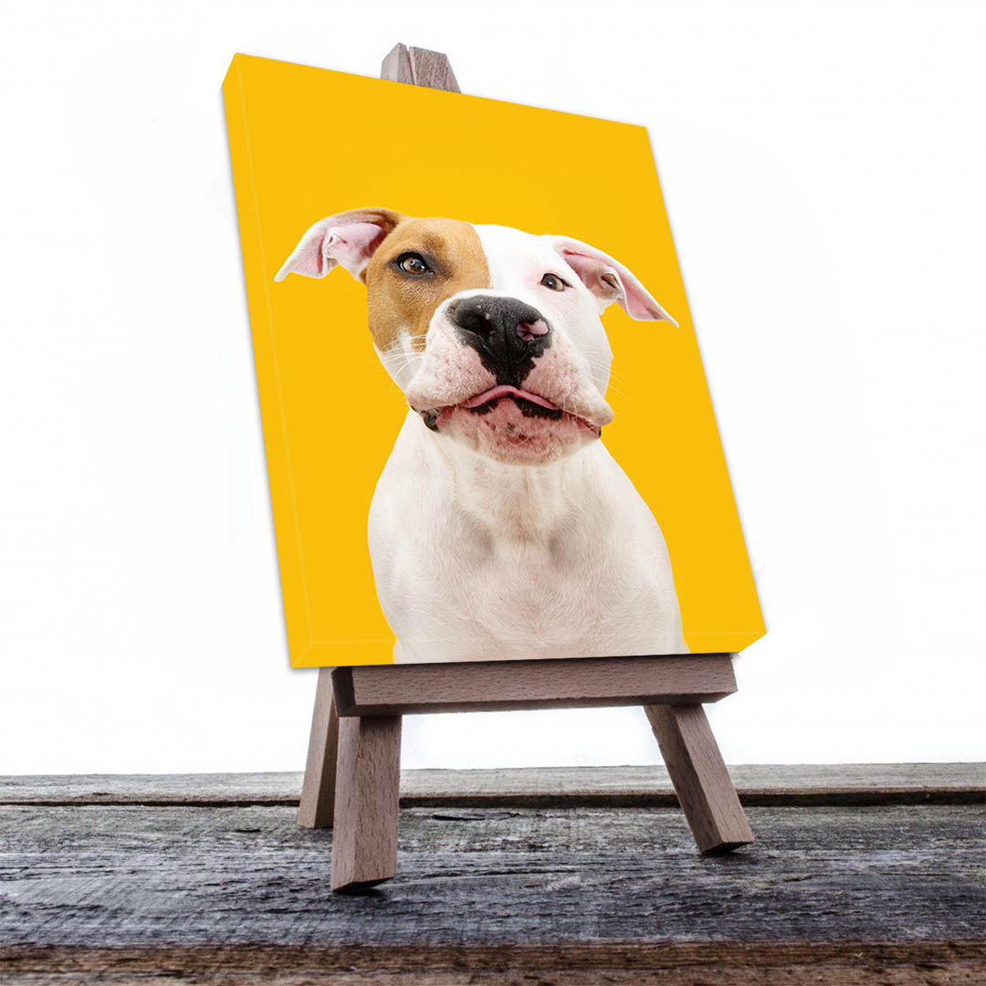 Cuadro Decorativo de Perro Pit Bull #522  120 X 60