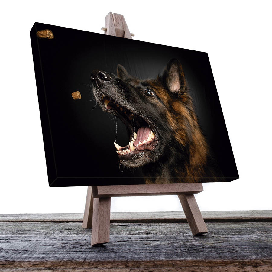 Cuadro Decorativo de Perro Pastor Alemán #03  120 X 60