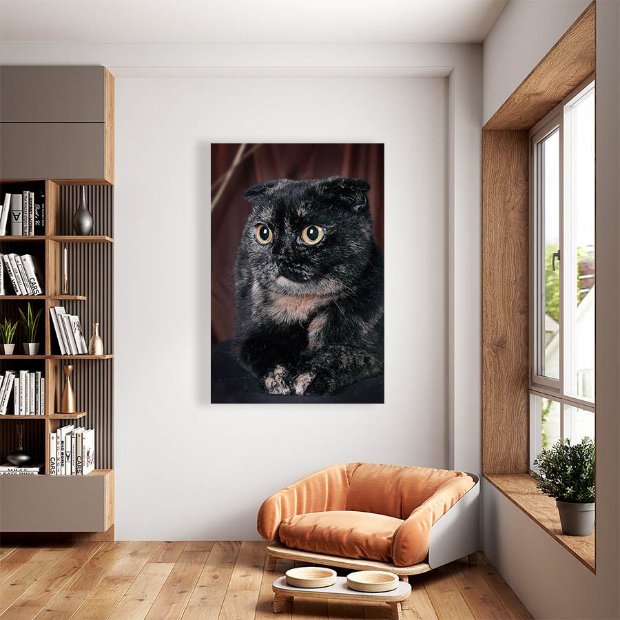 Cuadro Decorativo de Gato Persa Negro #549  90 X 45
