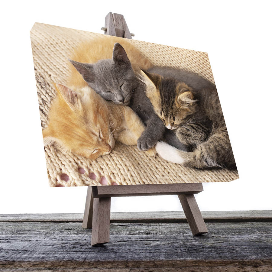 Cuadro Decorativo de Gatos Gris y Café #29  120 X 60