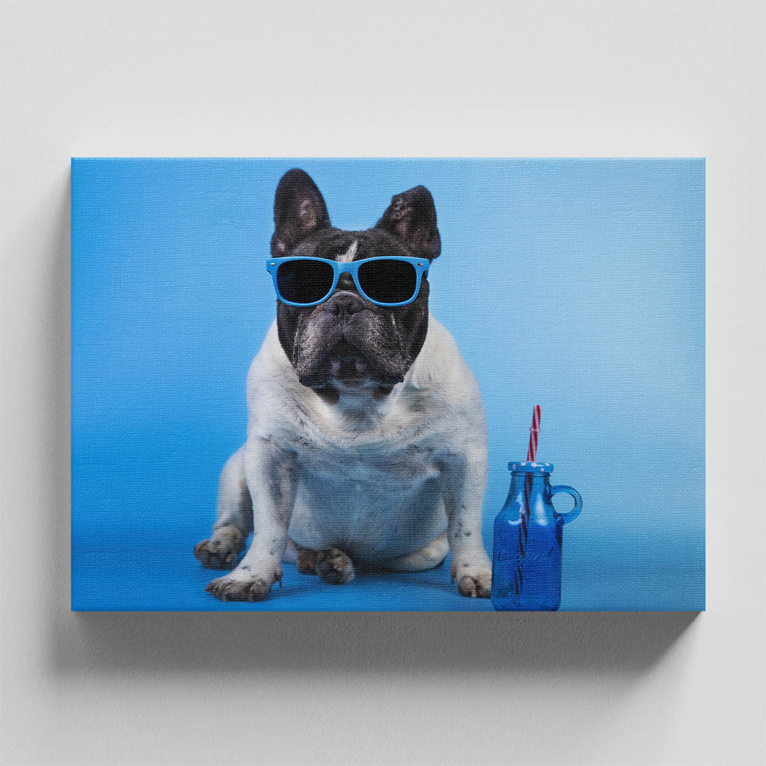Cuadro Decorativo de Perro Pug Blanco con Lentes #25  90 X 45