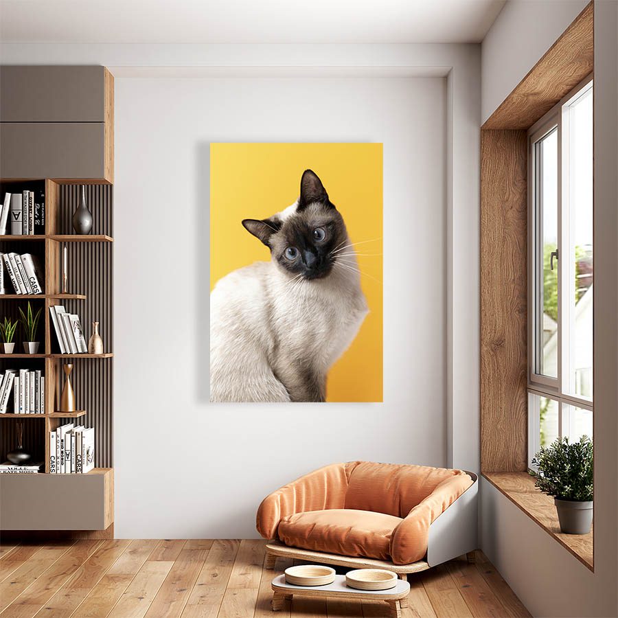 Cuadro Decorativo de Gato Siamés #539  90 X 60
