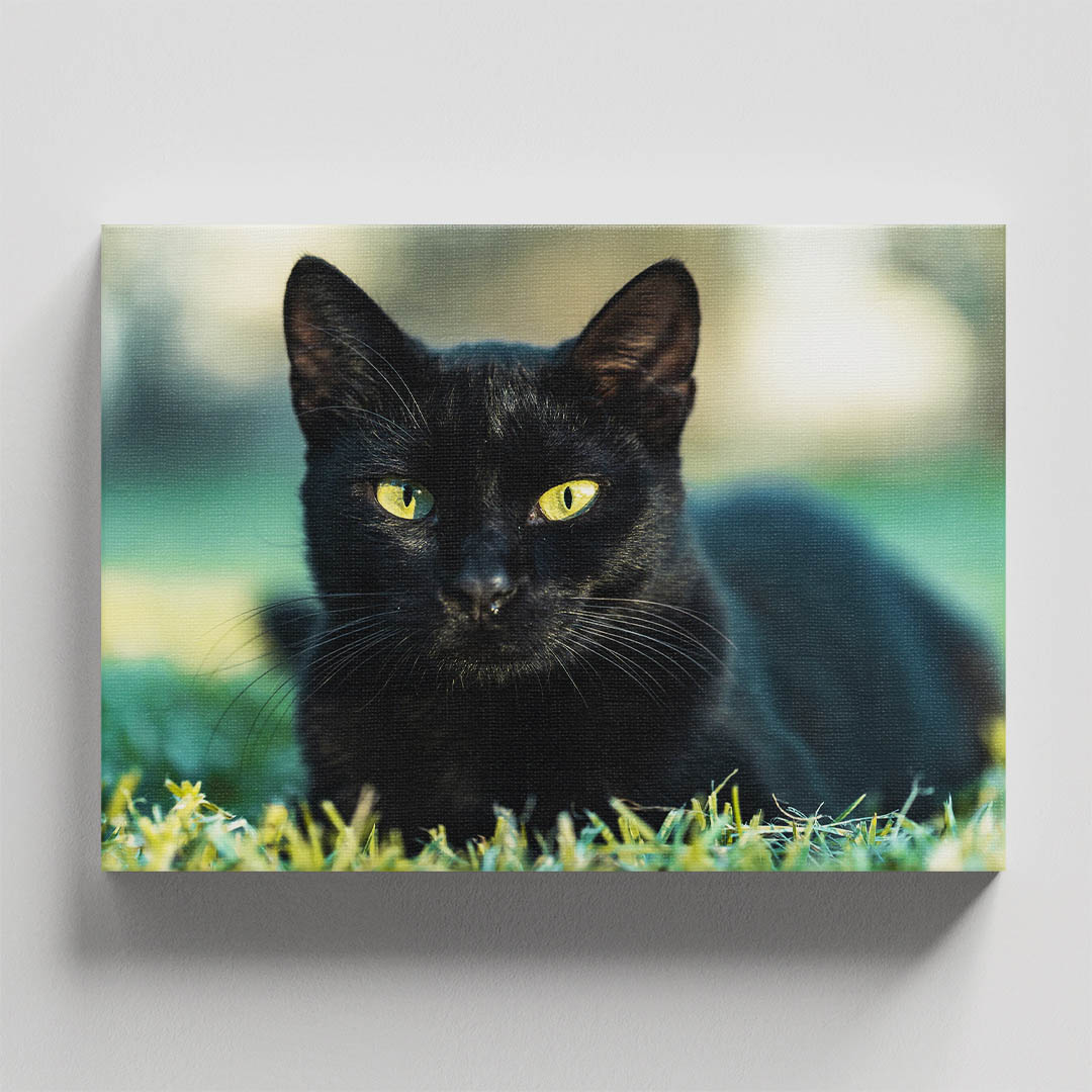 Cuadro Decorativo de Gato Negro #33  90 X 45