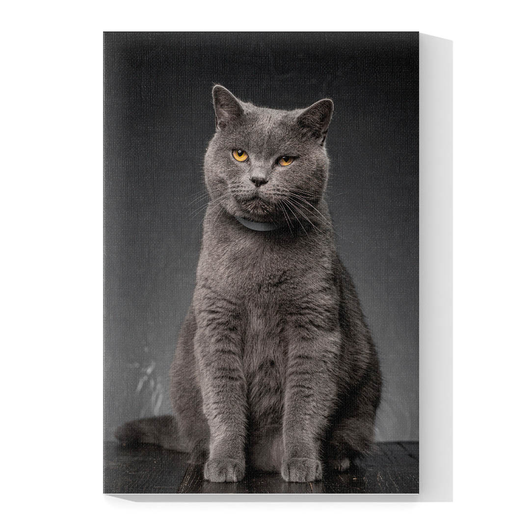 Cuadro Decorativo de Gato Gris #516  135 X 90