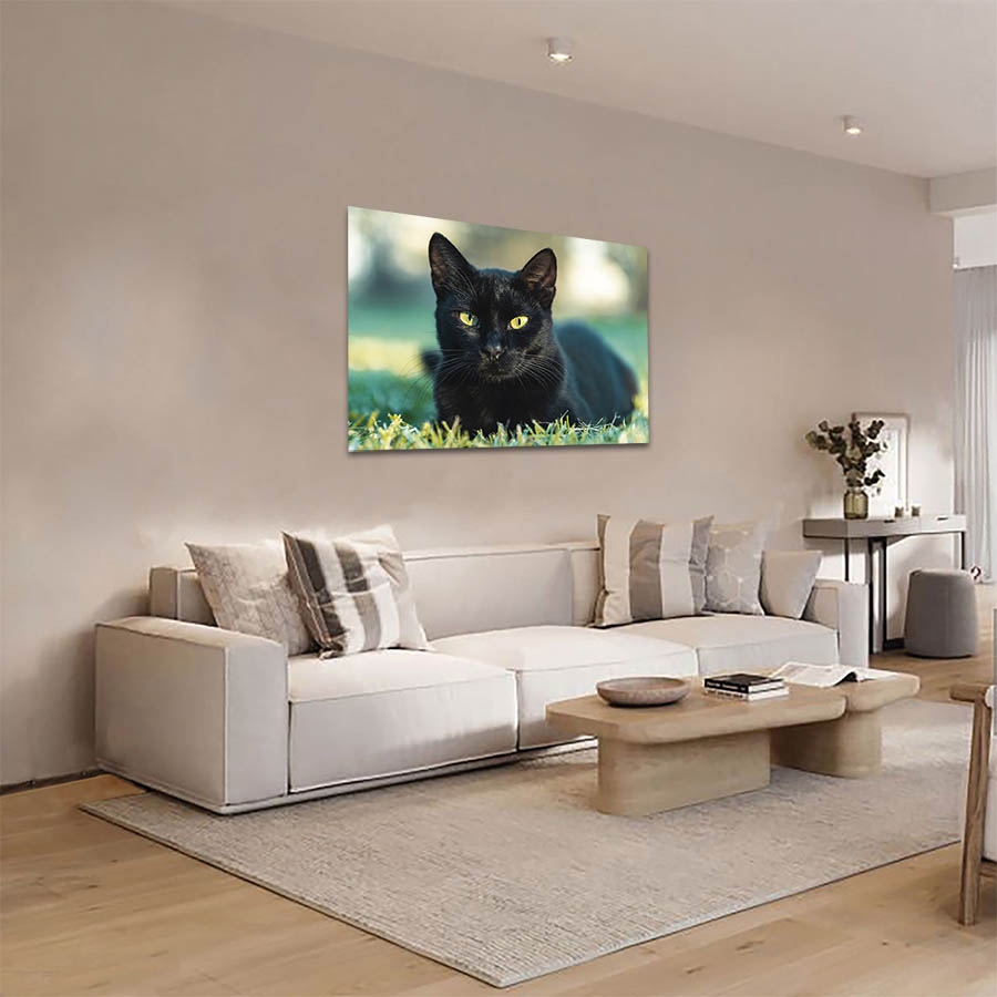 Cuadro Decorativo de Gato Negro #33  90 X 45