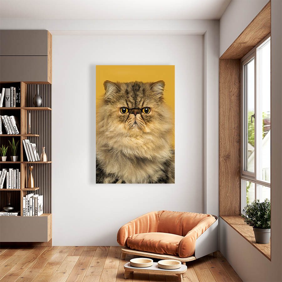 Cuadro Decorativo de Gato Persa Miel #547  90 X 45