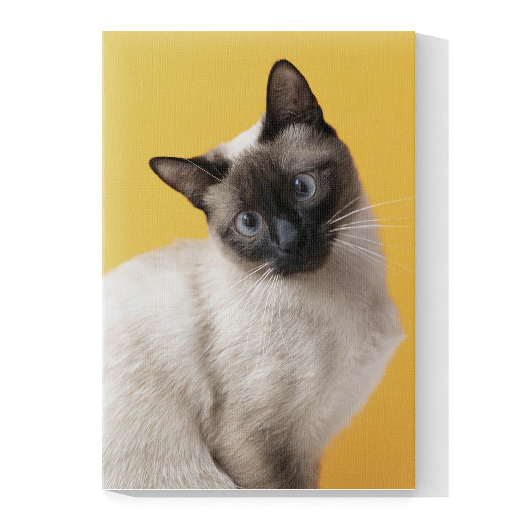 Cuadro Decorativo de Gato Siamés #539  90 X 60