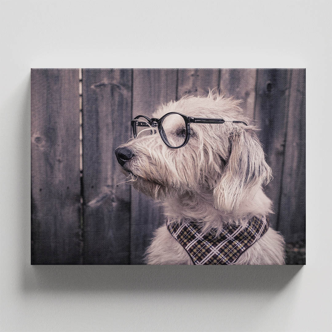 Cuadro Decorativo de Perro Terrier de Pastoreo con Lentes #52  120 X 60