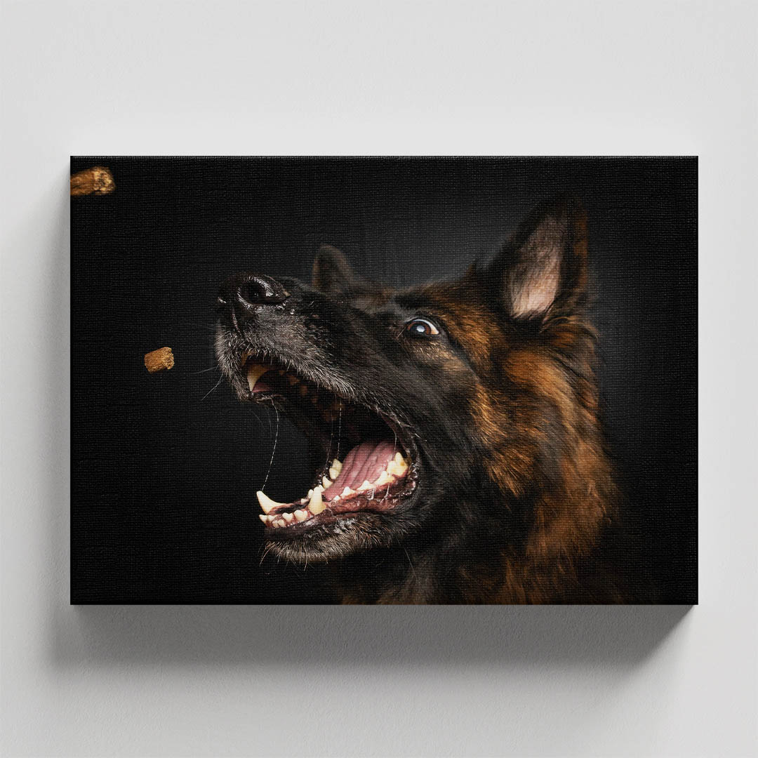 Cuadro Decorativo de Perro Pastor Alemán #03  120 X 60