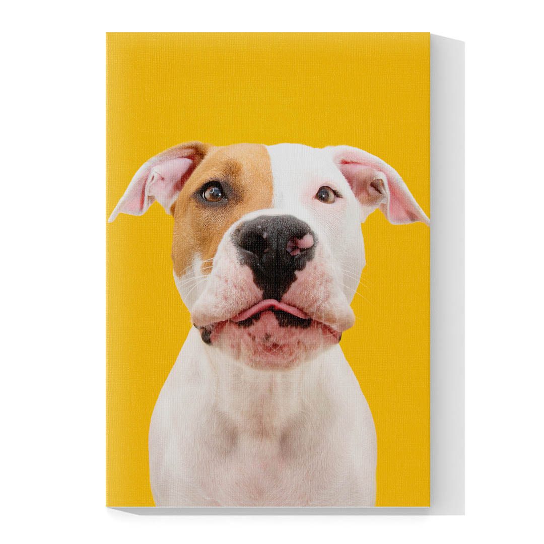 Cuadro Decorativo de Perro Pit Bull #522  120 X 60