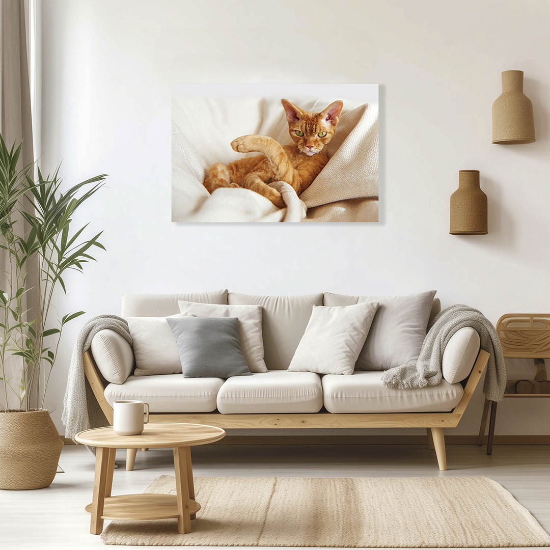 Cuadro Decorativo de Gato Café #23  135 X 90