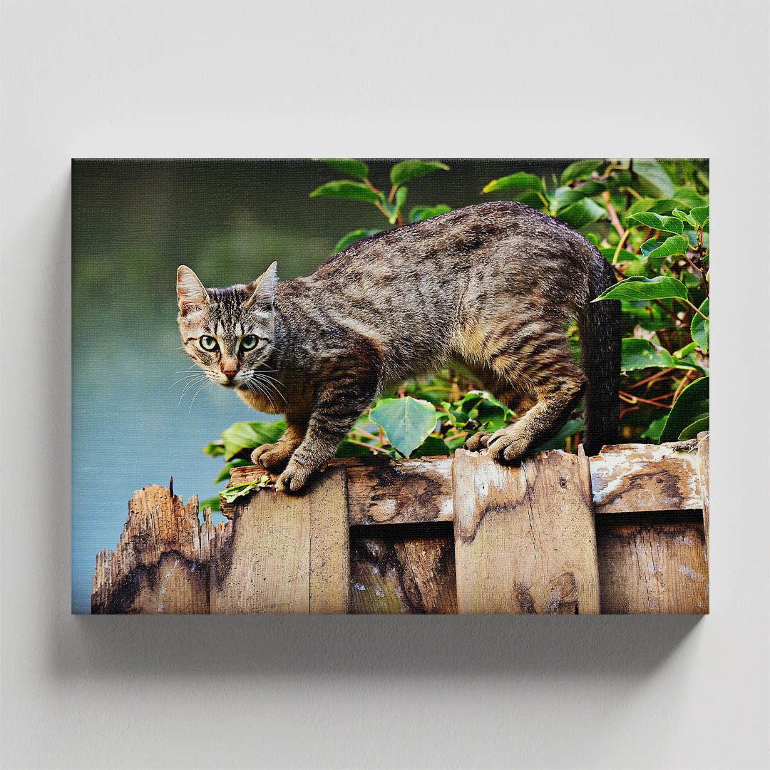 Cuadro Decorativo de Gato Gris con Café #44  120 X 80