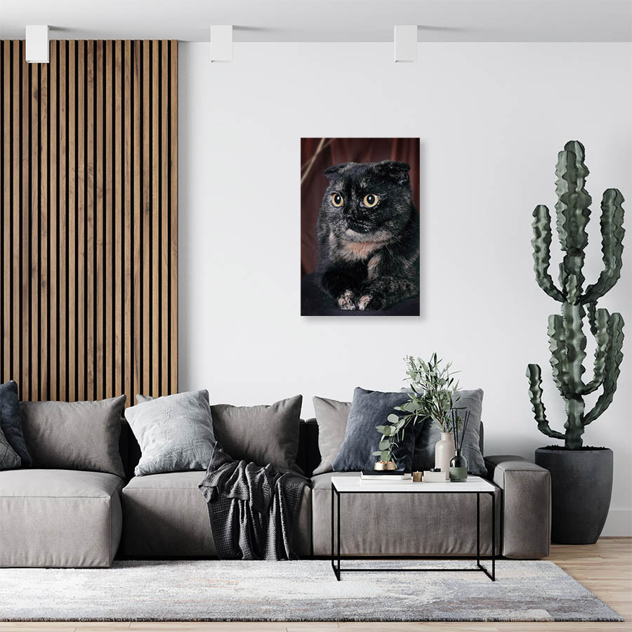 Cuadro Decorativo de Gato Persa Negro #549  120 X 60