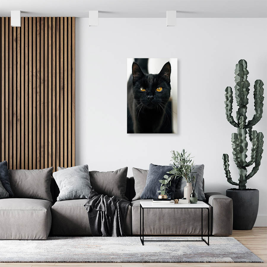 Cuadro Decorativo de Gato Negro #534  120 X 60