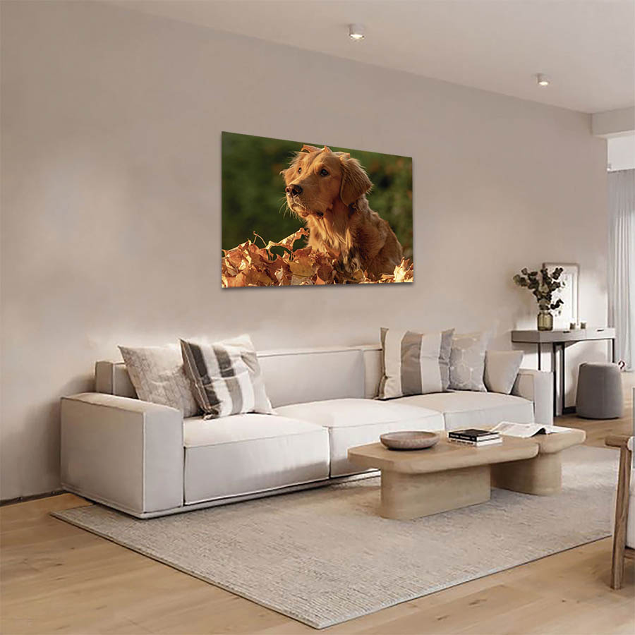 Cuadro Decorativo de Perro Golden Retriver #42  120 X 60