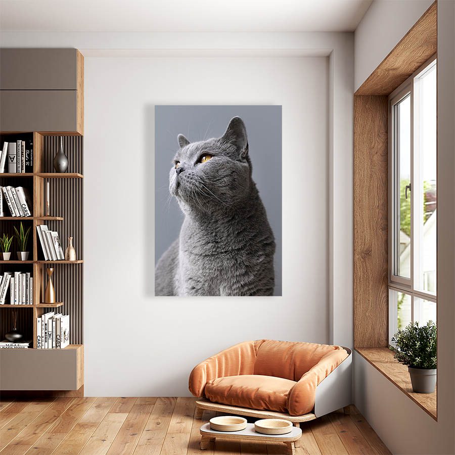 Cuadro Decorativo de Gato Gris #538  120 X 60