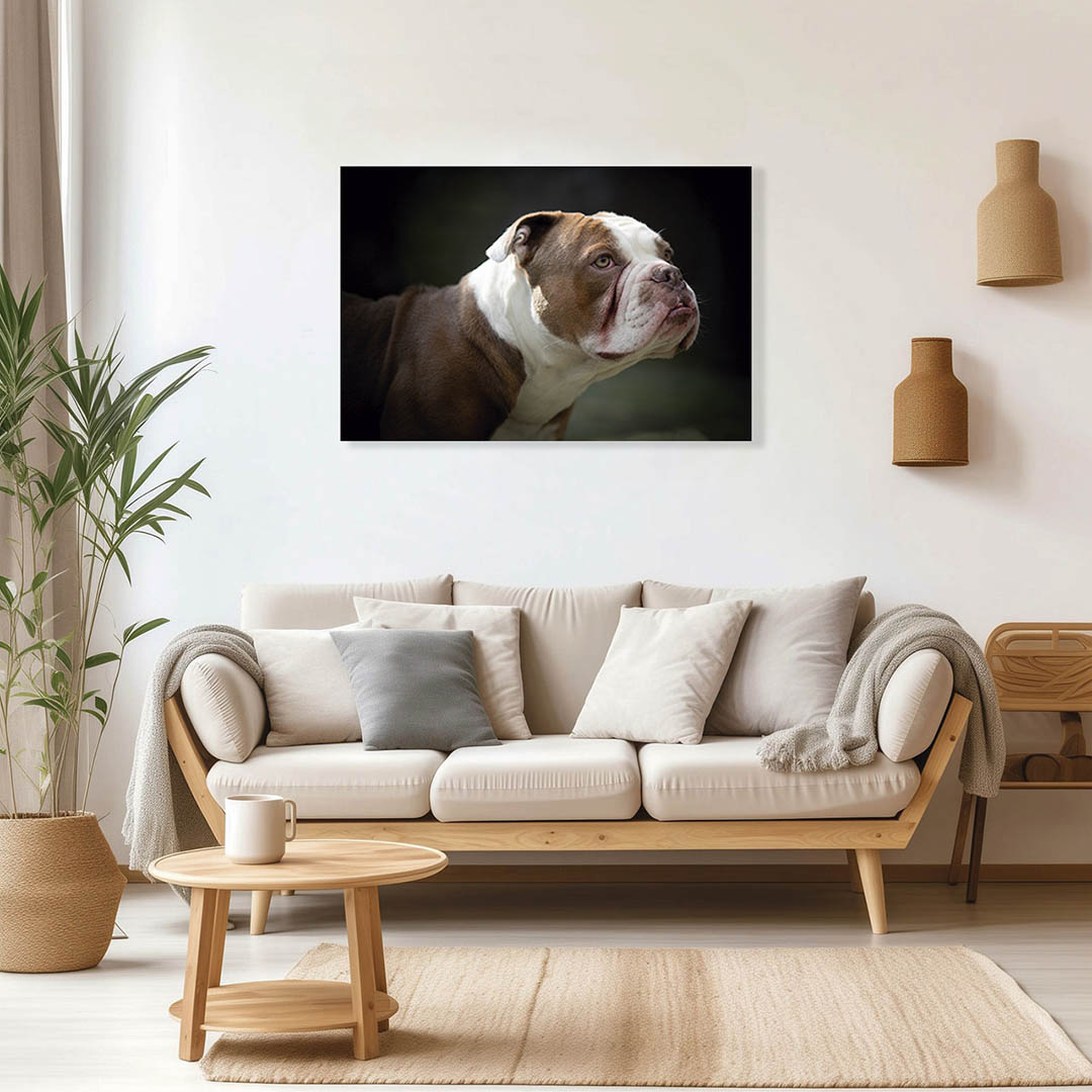 Cuadro Decorativo de Perro Buldog #06  90 X 60