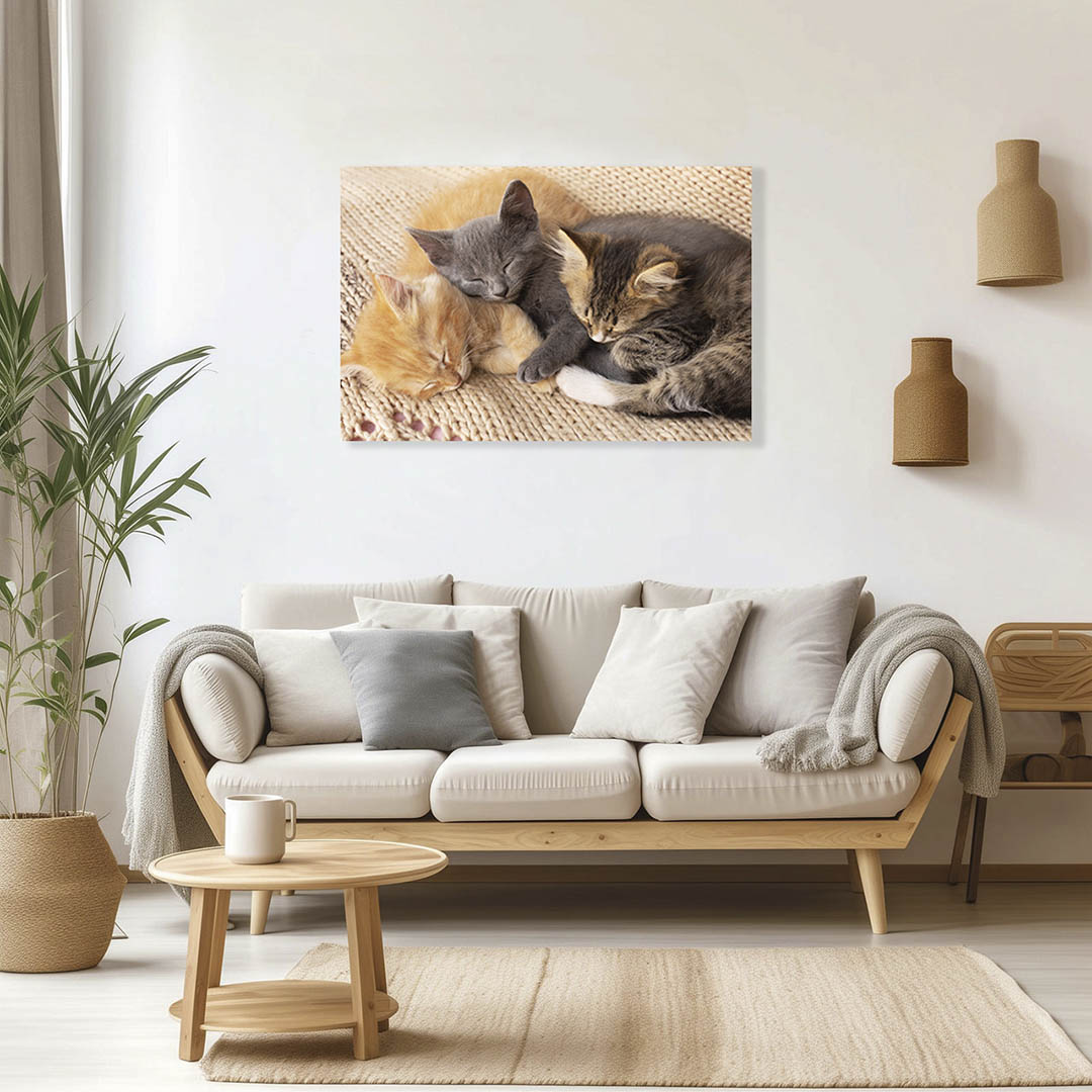 Cuadro Decorativo de Gatos Gris y Café #29  120 X 60