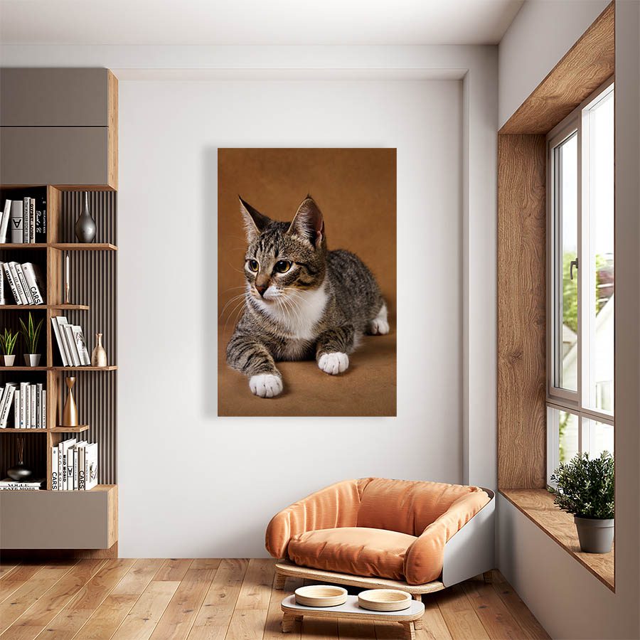 Cuadro Decorativo de Gato Gris Atigrado con Patitas Blancas #509  60 X 40