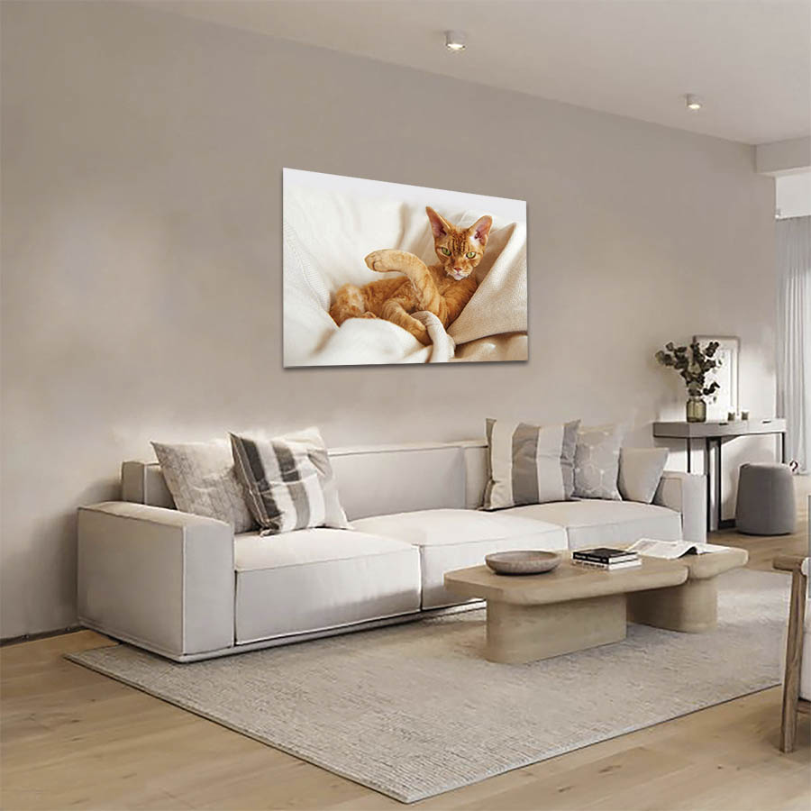 Cuadro Decorativo de Gato Café #23  135 X 90