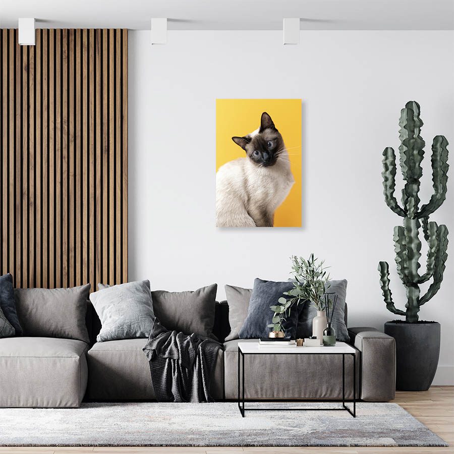 Cuadro Decorativo de Gato Siamés #539  90 X 60