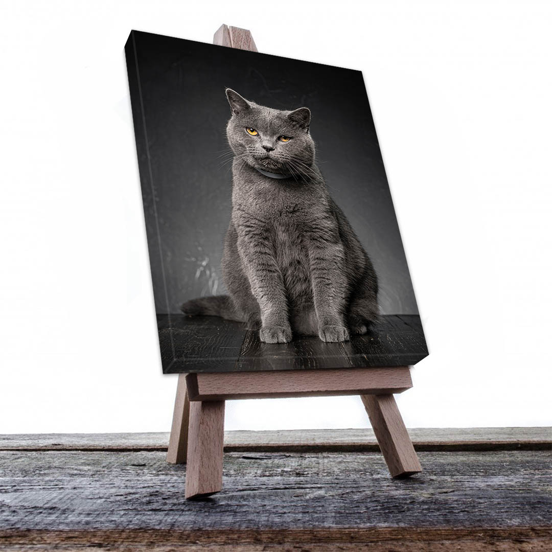 Cuadro Decorativo de Gato Gris #516  135 X 90