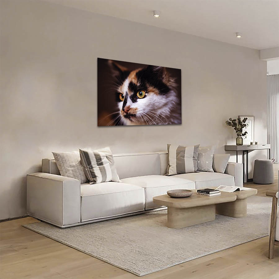 Cuadro Decorativo de Gato Banco, Café y Negro #08  60 X 40