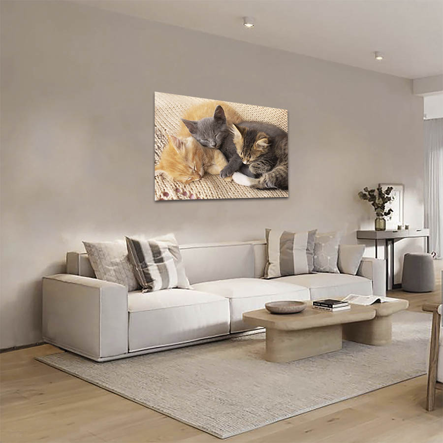Cuadro Decorativo de Gatos Gris y Café #29  90 X 60